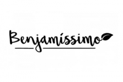 benjamissimo